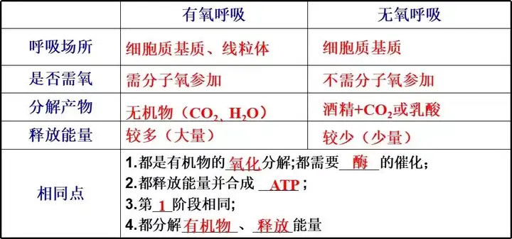 高中生物 细胞呼吸重难点专题 高考趋势 善利名师 官方网站 高考智能备考