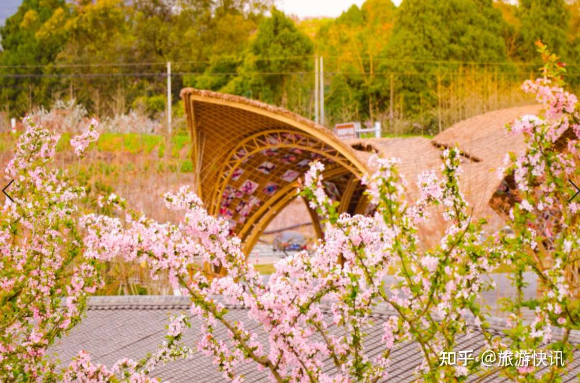 色香味 俱全 成都东部新区首届东麓桃花季浪漫来袭 知乎