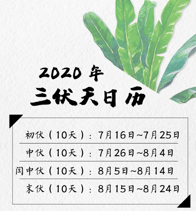 北京琅鳥文化 公眾號:琅鳥 今天是2020年