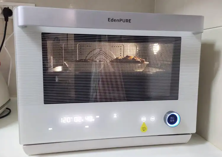 edenpure steam oven