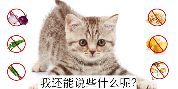 分享丨猫咪能不能吃水果蔬菜 知乎