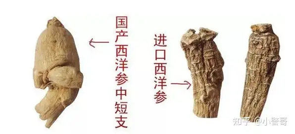 2023年西洋參十大品牌推薦：西洋參哪個(gè)牌子值得買？適合送長輩、送父母的西洋參品牌