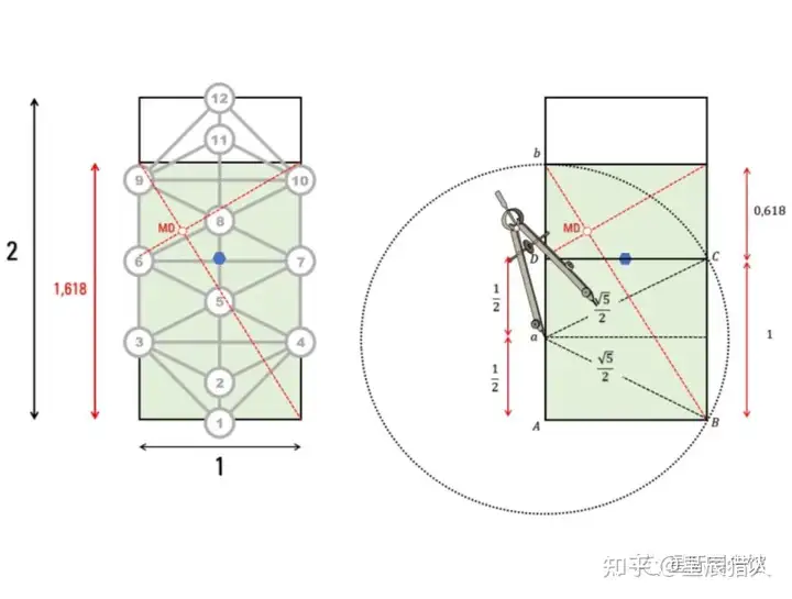 死亡之花和生命之花的区别(图26)