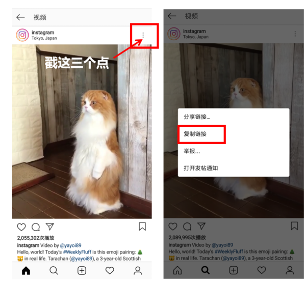 最简单的就是用公众号【存图猫】,只要复制instagram链接然后发给它就