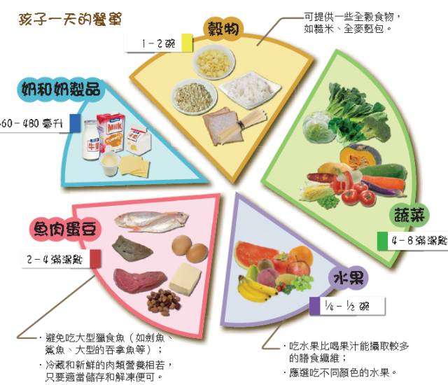 12 24个月宝宝每天怎么吃 吃多少 你的喂养问题在这里终结 知乎