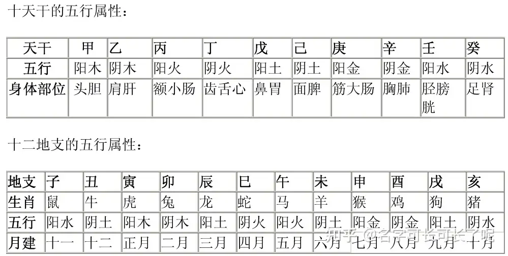 玄学基础知识：认识一下十二地支！ - 知乎