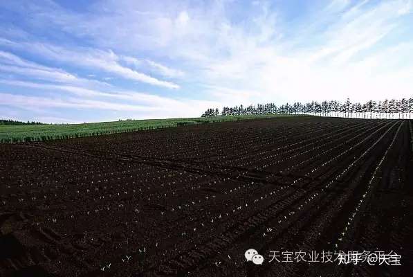 如何判断土壤是酸是碱 知乎