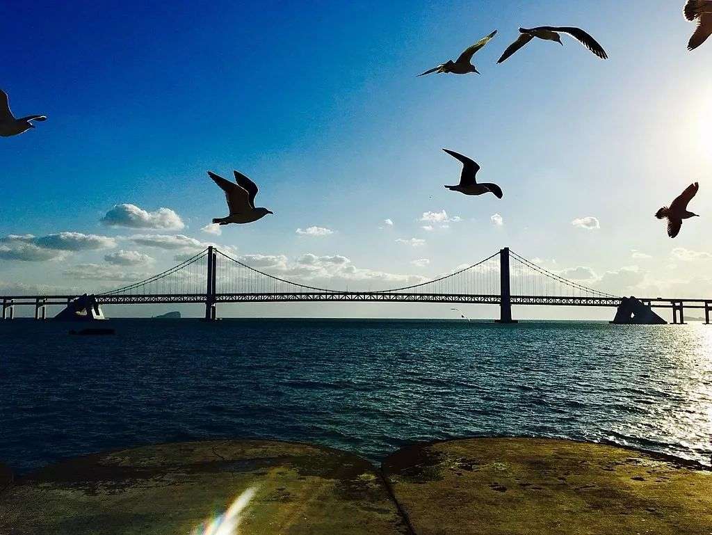 中国著名跨海大桥 有你的家乡吗 知乎