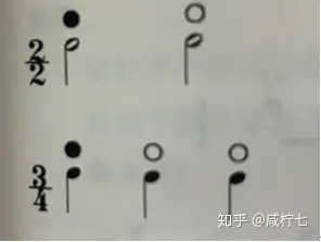 强拍一定要弹强吗 知乎