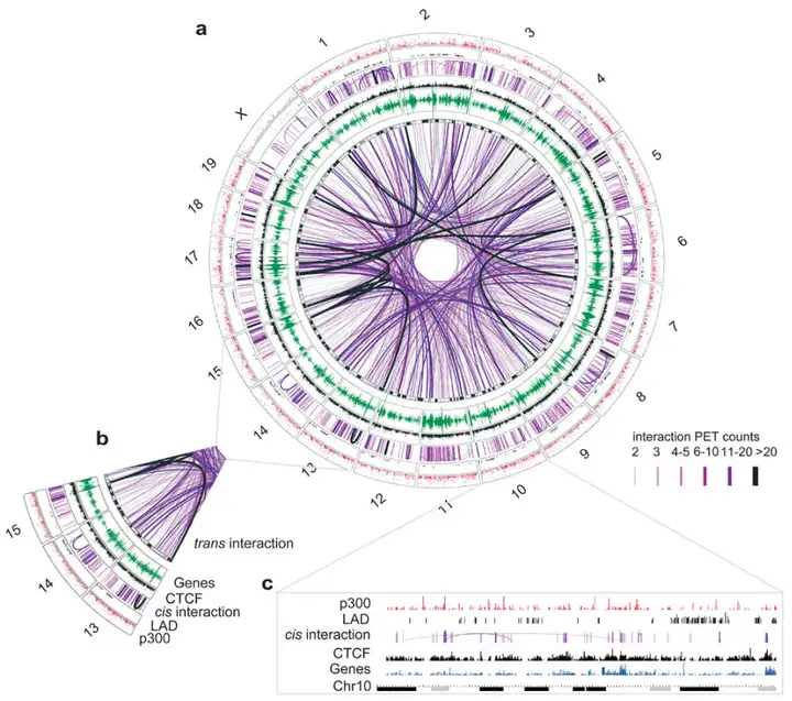 《特定蛋白介导的染色质互作捕获技术：ChIA-PET、HiChIP、PLAC-seq》