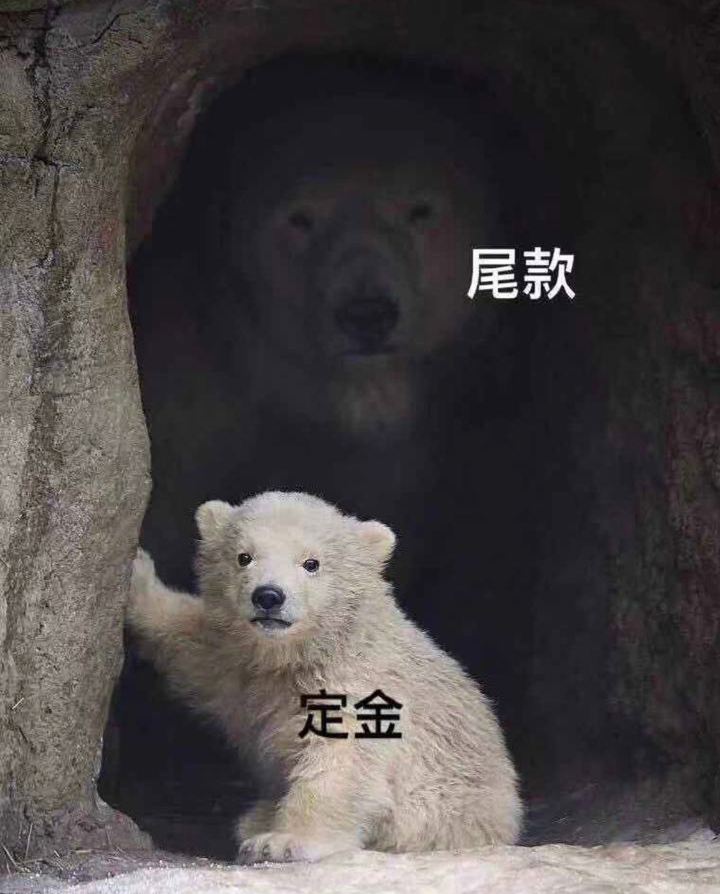 2020国外专业电脑包手提包内胆包品牌incase瑞士军刀泰格斯推荐实时