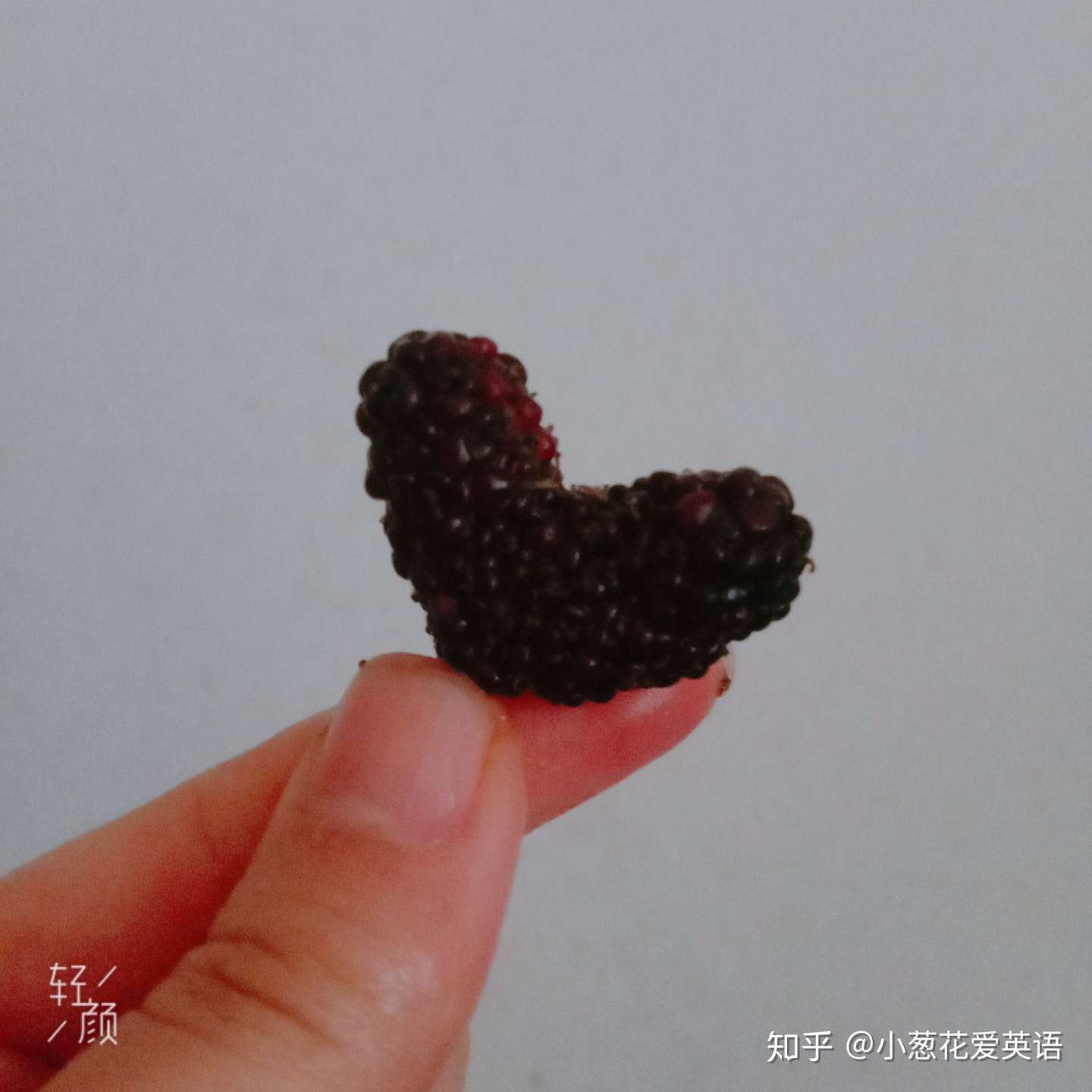 英语熟词生义小珍珠 知乎