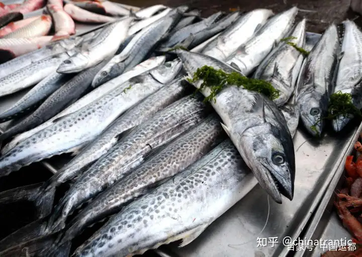 【威海运都】☆海识 | 鲅鱼和鲐鲅傻傻分不清晰（鲐鲅和鲅鱼的区别图片）