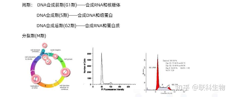 知乎专栏