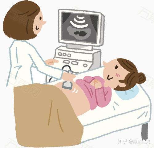 准妈妈不能错过的第一次排畸-NT插图(3) v2-4b75cd2b385d3559529f07950afeb639_720w.jpg插图(3)