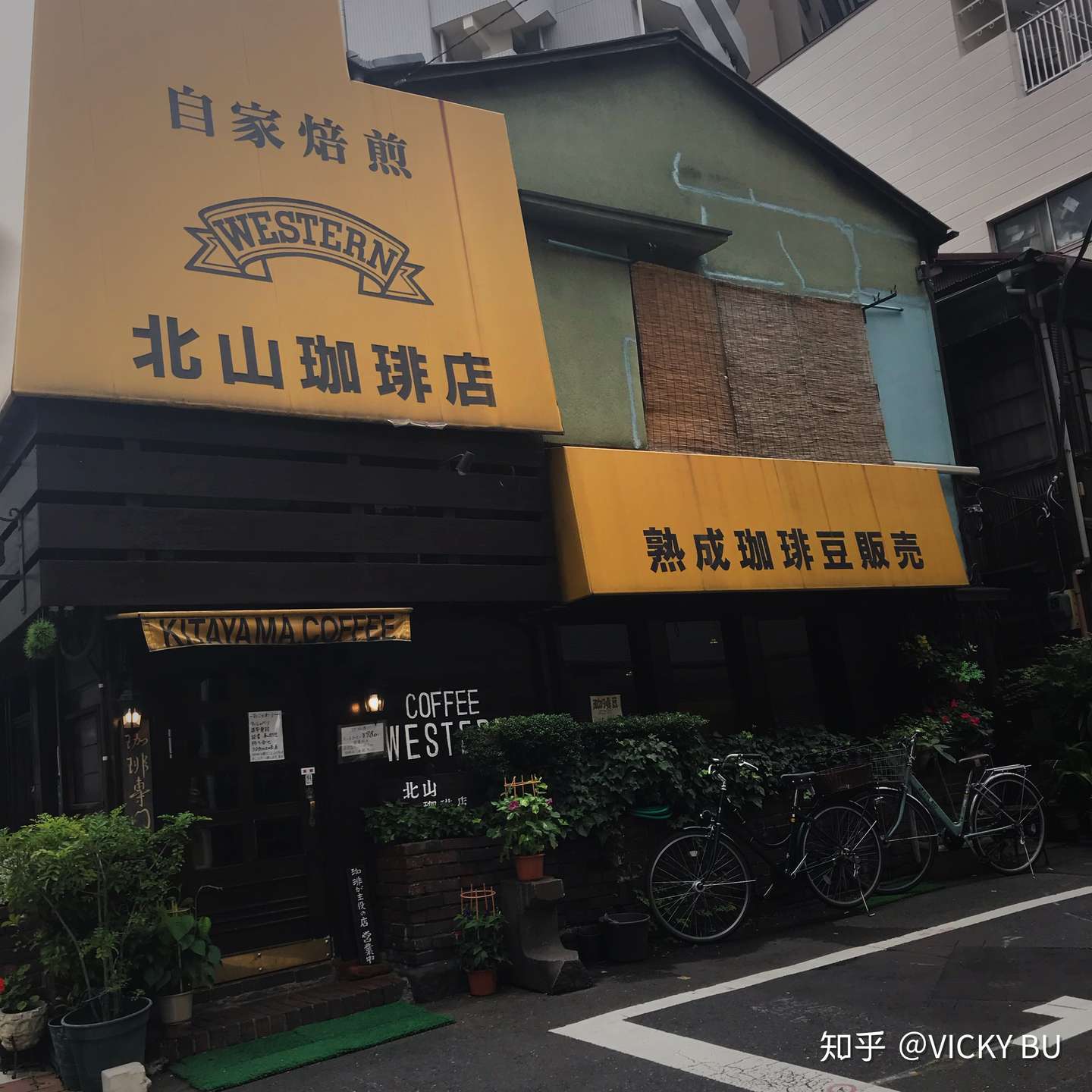 一周东京 珈琲 探店 知乎