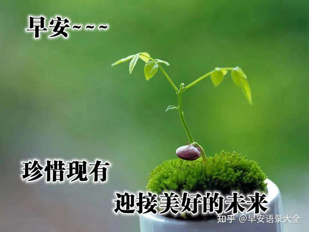 8张最新漂亮夏日风景早上好图片带祝福语好看的早安问候祝福语图片带字温馨 知乎