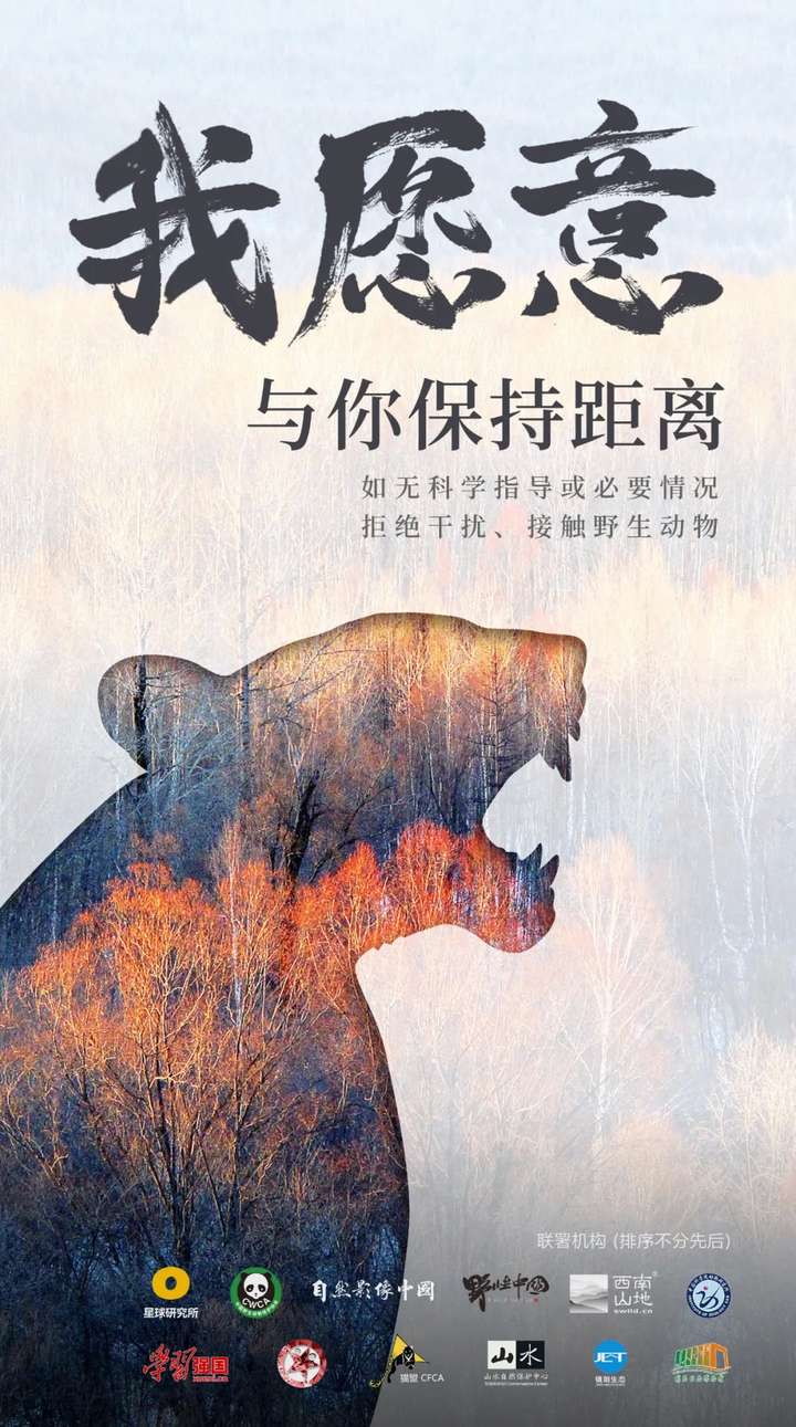 朱一龙问 拒绝非法野生物贸易 我们能够做些什么 知乎 朱一龙问 拒绝非法野生物贸易 我们能够做些什么 知乎