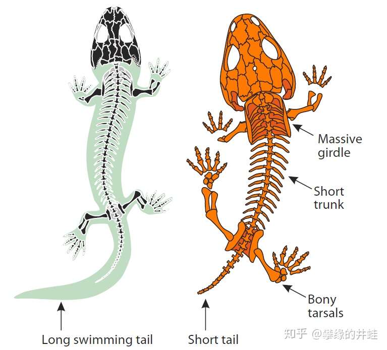 地球演义 To Be Or Not To Be 知乎