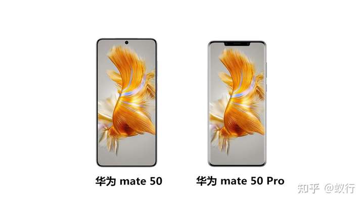 一文看懂华为Mate50和Pro的区别，以及华为Mate50和Pro怎么选？插图3