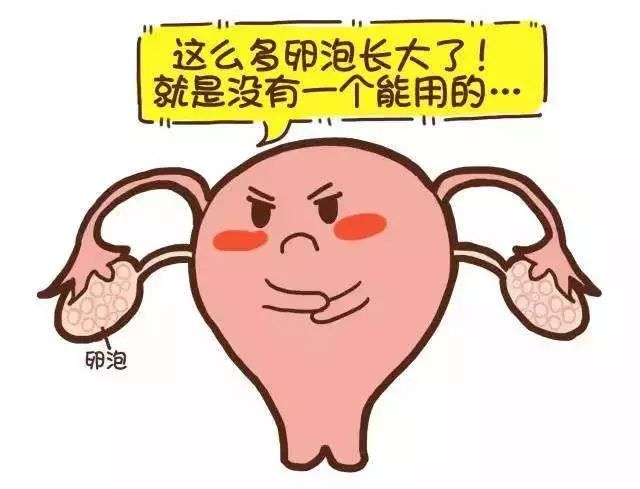 明明卵泡很多,偏偏不怀孕是怎么回事呢?插图 v2-4db4ed571bbcee205b3b2730c1afa548_720w.png插图