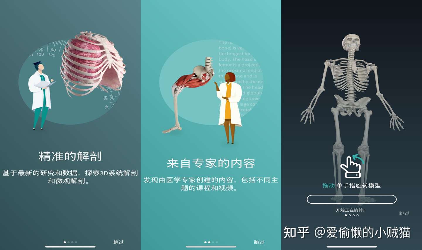 3d解剖app到底有多么惊艳 知乎 3d解剖app到底有多么惊艳 知乎