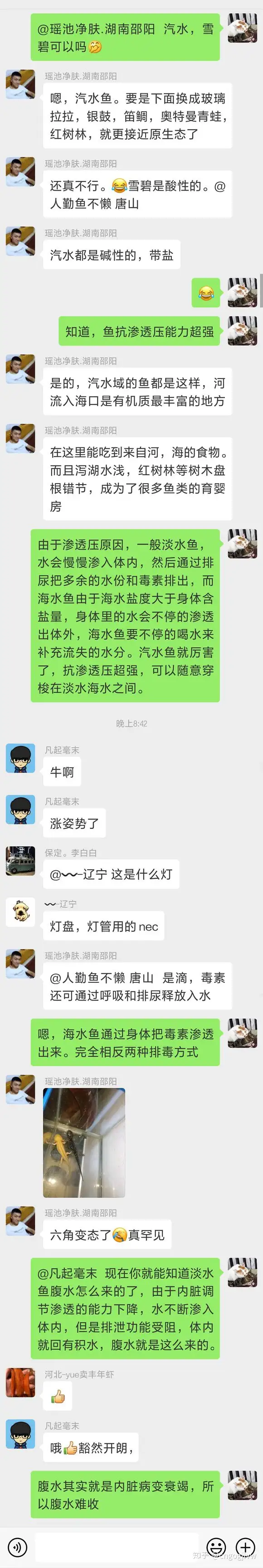 淡水鱼腹水的成因及治疗方法 鱼病原理 知乎