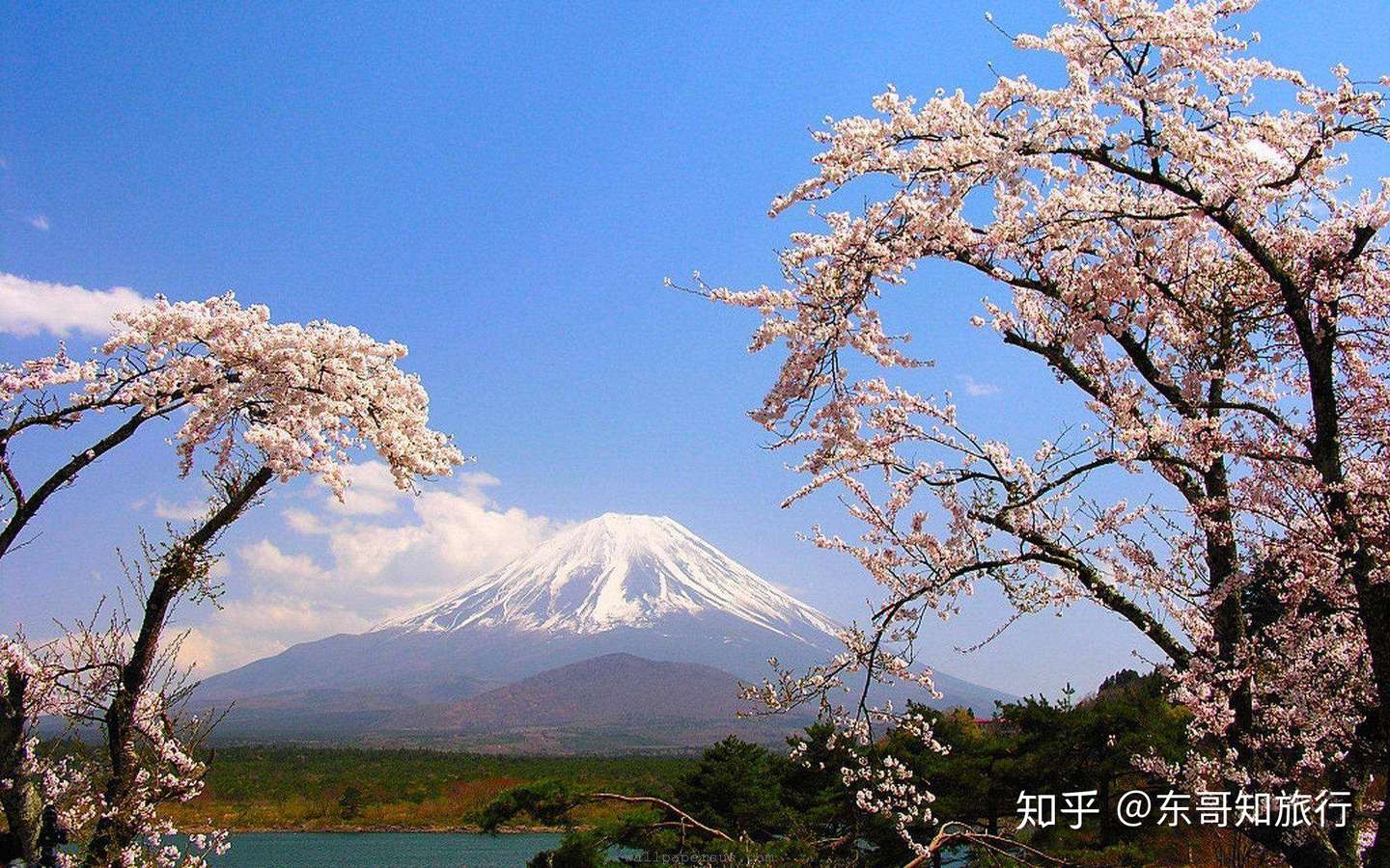 前往日本富士山自由行 常用的交通方式 知乎