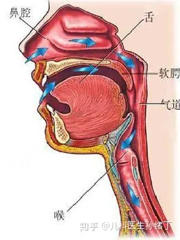 鼻塞原理 模拟图图片