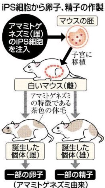 大学院研究动态 三 京大 解密大型磁暴 知乎