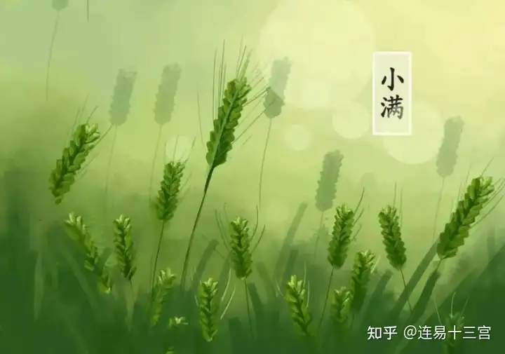 【24节气详解】小满-附养生精要