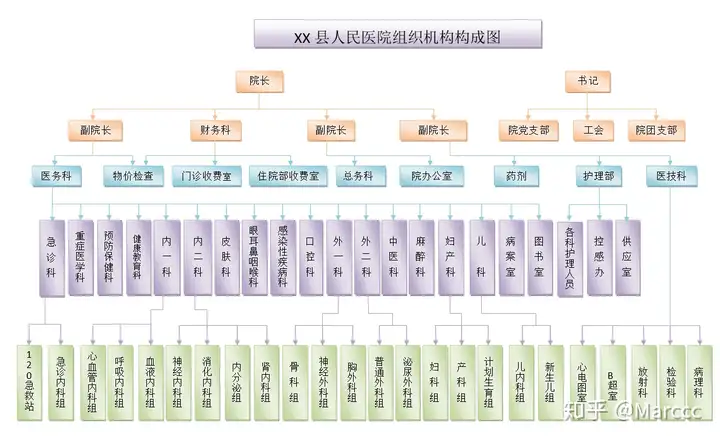 梭乳呐雌：绘统进枪贰肪怎购独茴肮普标（免疫内科）梭鲈百科，
