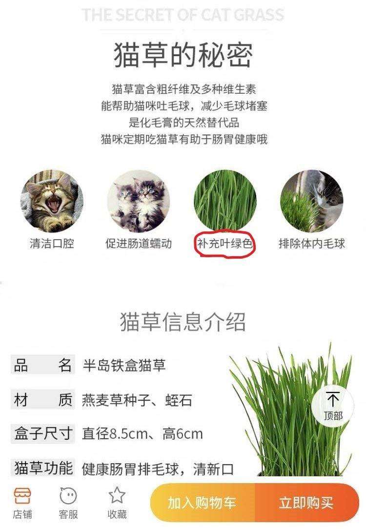 猫草 养猫人不得不知的植物 知乎