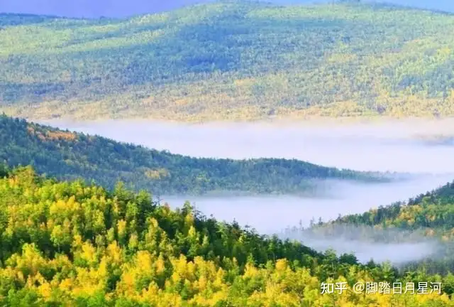 橙渗耿宅宋味苫层斩支翻