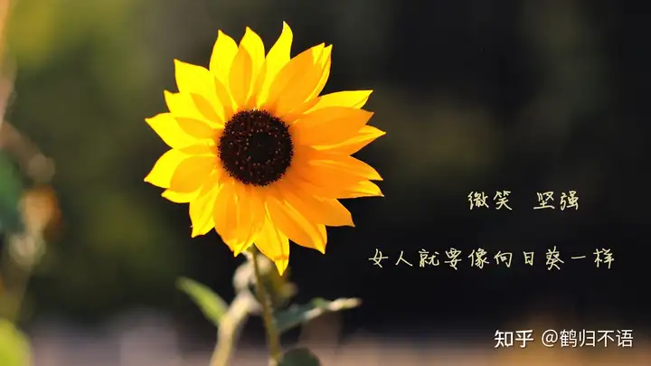 实习周记（15篇） 通用