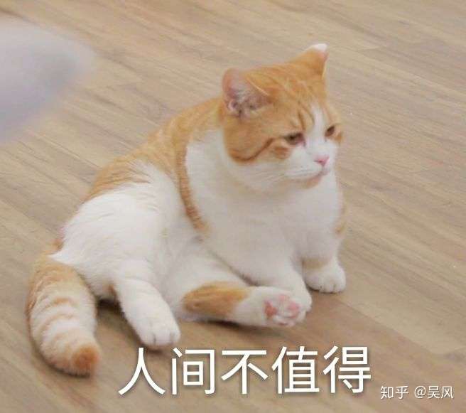 淘宝内部优惠券真的假的?揭秘领券的秘密插图5 淘宝内部优惠券真的假的?揭秘领券的秘密插图5