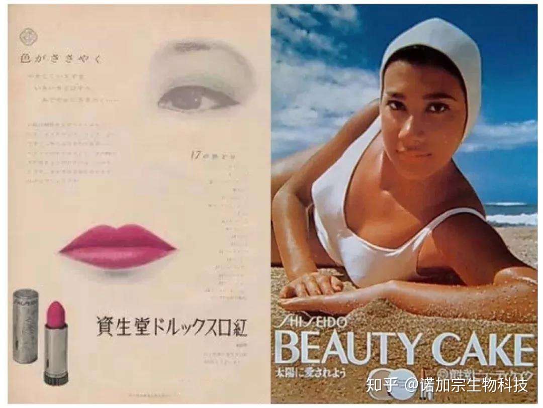 日本资生堂走红史 知乎