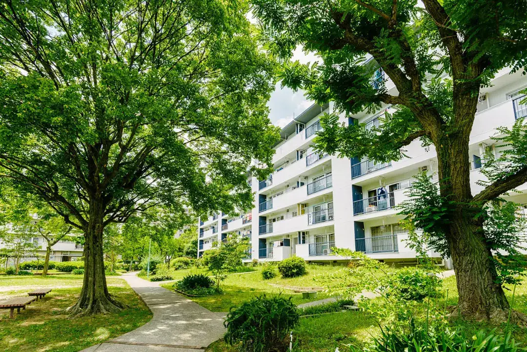 大阪散步指南 七 在千里中央 一切都是刚刚好 知乎