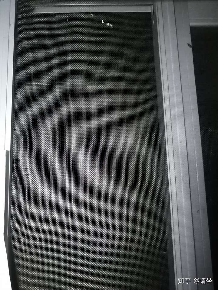 家里窗户上有很多这样的虫卵想知道这是什么虫卵