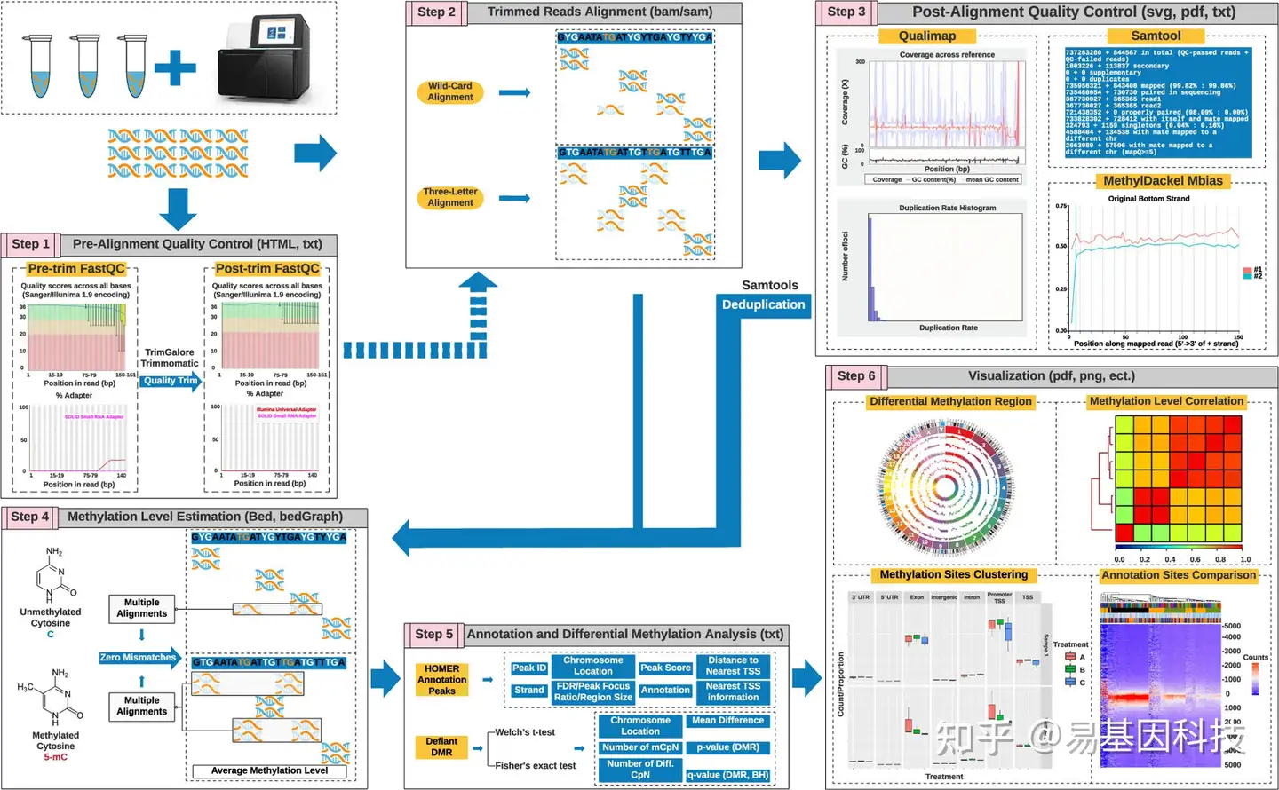 全基因组DNA甲基化测序数据工作流程分析和性能评估  分析软件比较 | 生信专区