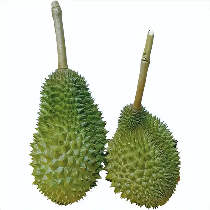 2022年中国榴莲进出口数据分析报告