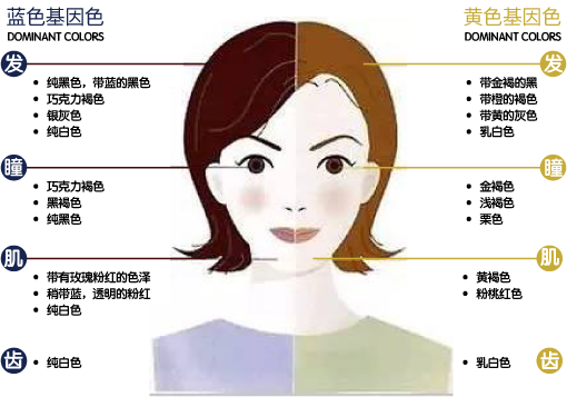 依照亚洲女性的肤色,适合哪些颜色的衣服呢?