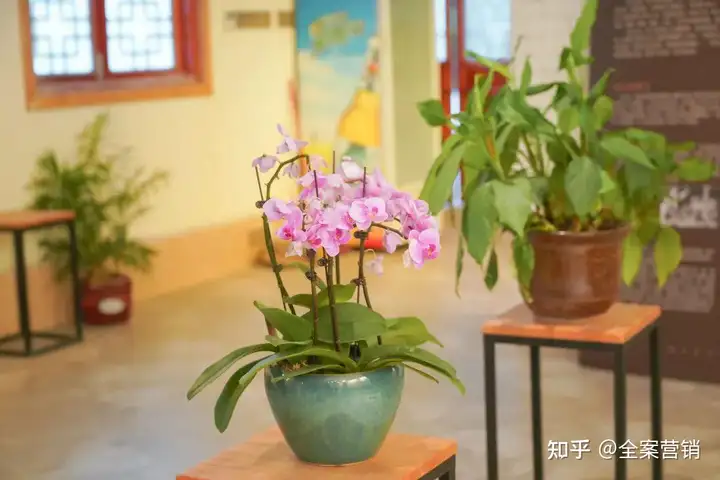 争创天府旅游名县｜再见2022，细数那些时光里的小美好