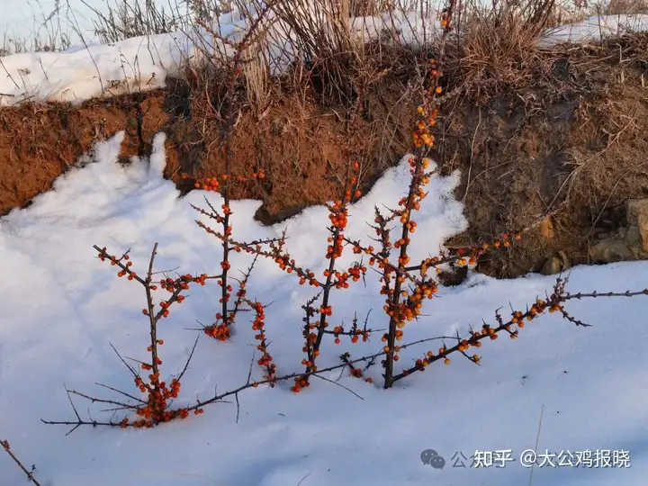 传承中医文化