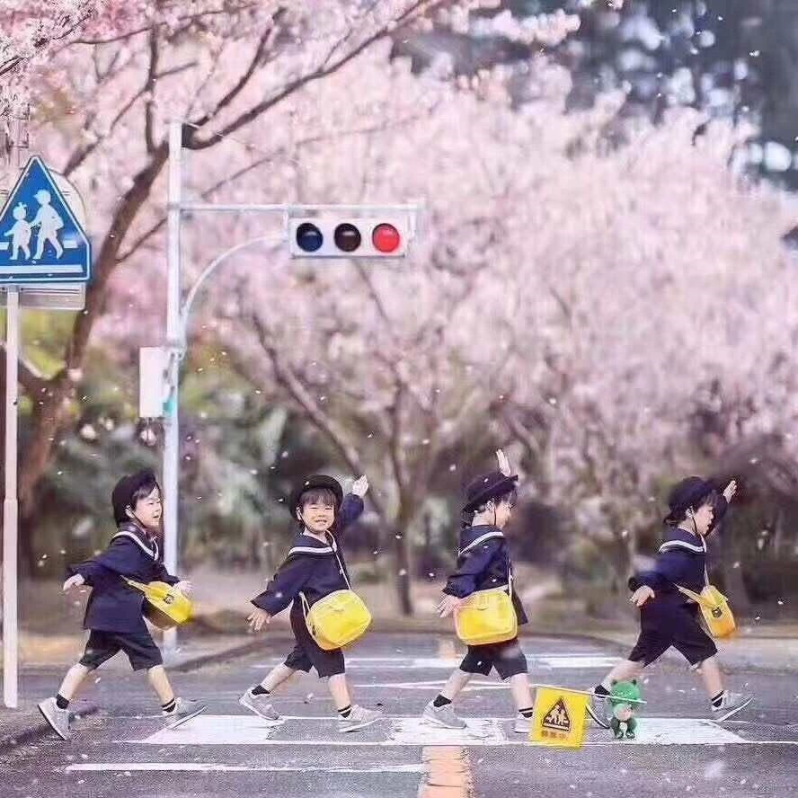 21年日本赏樱花最佳时间 知乎