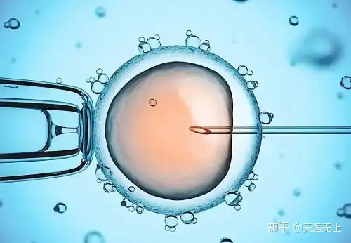 成都最大供卵中心（最新全国三代试管婴儿资质医院汇总（附医院名单））