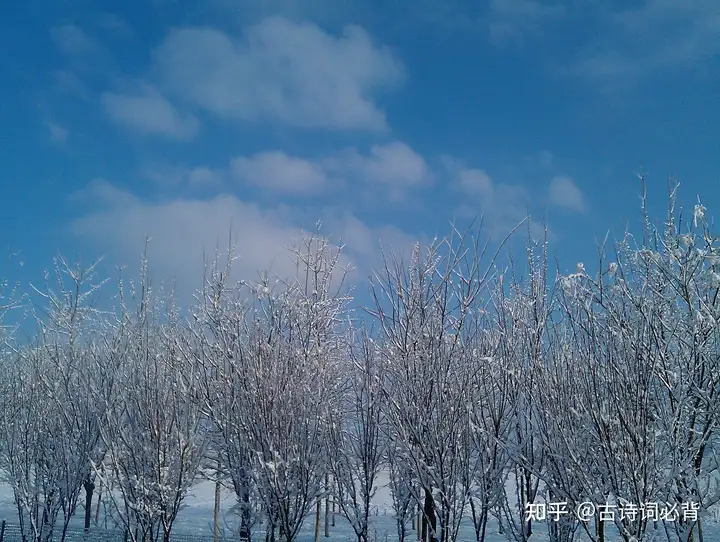 不看后悔（写雪的诗句）关于写雪的诗句古诗 第4张