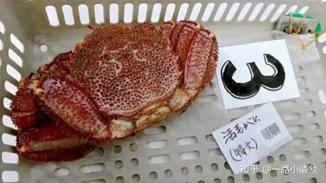 学会了吗(日本典型美食有哪些)日本典型美食图片2023已更新 第2张