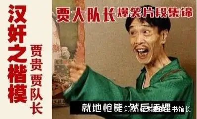 抗日奇侠贾队长