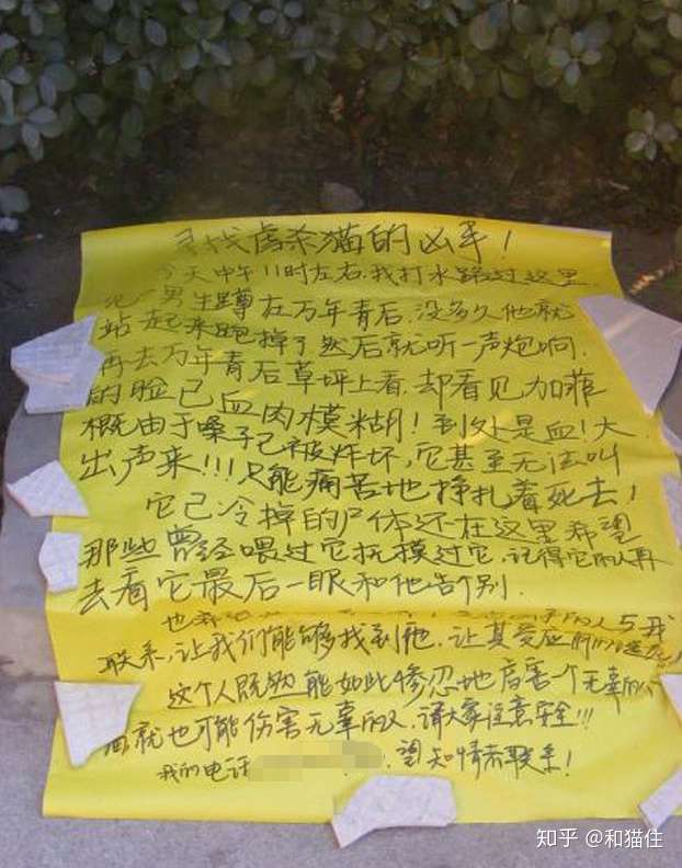 我国历年发生虐猫行为一览- 知乎